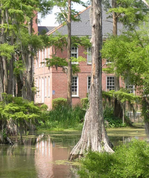 Acadiana